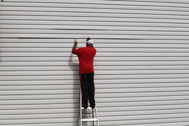 Professional Siding in Whitesburg, KY